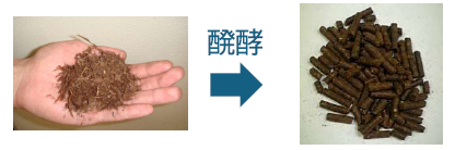 群馬大学「群馬県のＧＸを加速する 地域資源活用新産業創出プラットフォーム整備 プロジェクト」|【地域未利用資源を土壌改良剤へ転換する】