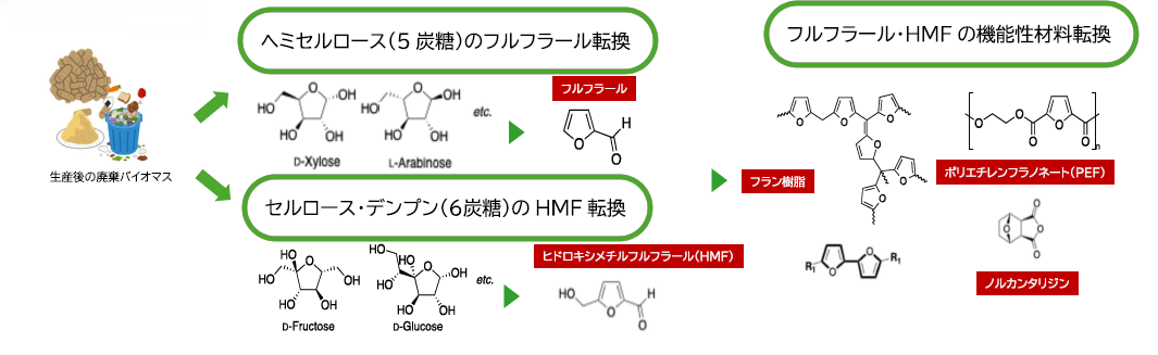 群馬大学「群馬県のＧＸを加速する 地域資源活用新産業創出プラットフォーム整備 プロジェクト」|【ヘミセルロース・セルロース成分を含む未利用資源からフルフラール・HMFを経由して高付加価値材へ転換する】