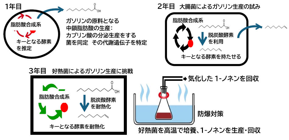 群馬大学「群馬県のＧＸを加速する 地域資源活用新産業創出プラットフォーム整備 プロジェクト」|【WET系廃棄物を生物学的に“ガソリン”に転換する】