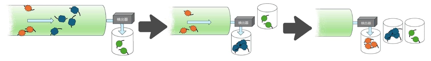 クロマトグラフィーの原理 物質が順に出る