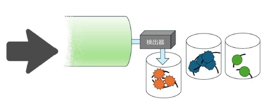 クロマトグラフィーの原理 物質が順に出る